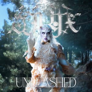 Portada de Unleashed de Onyx Unleashed